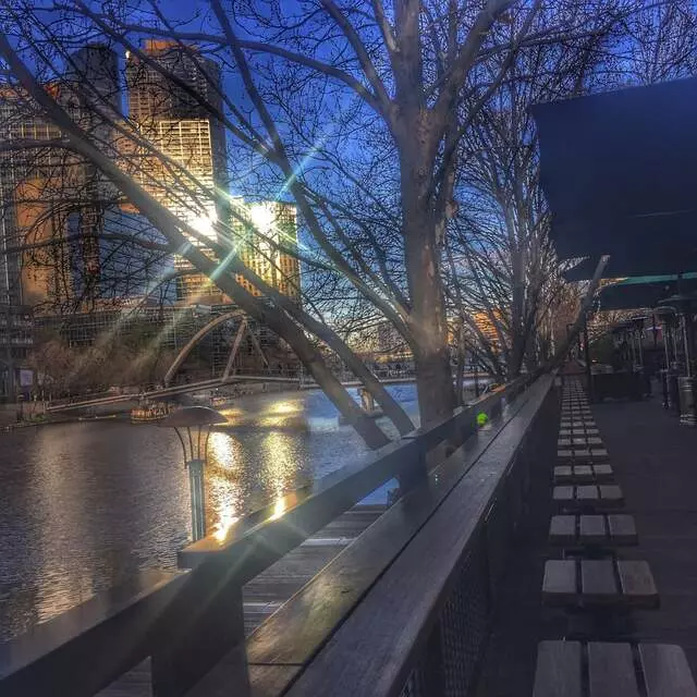 Arbory Bar & Eatery