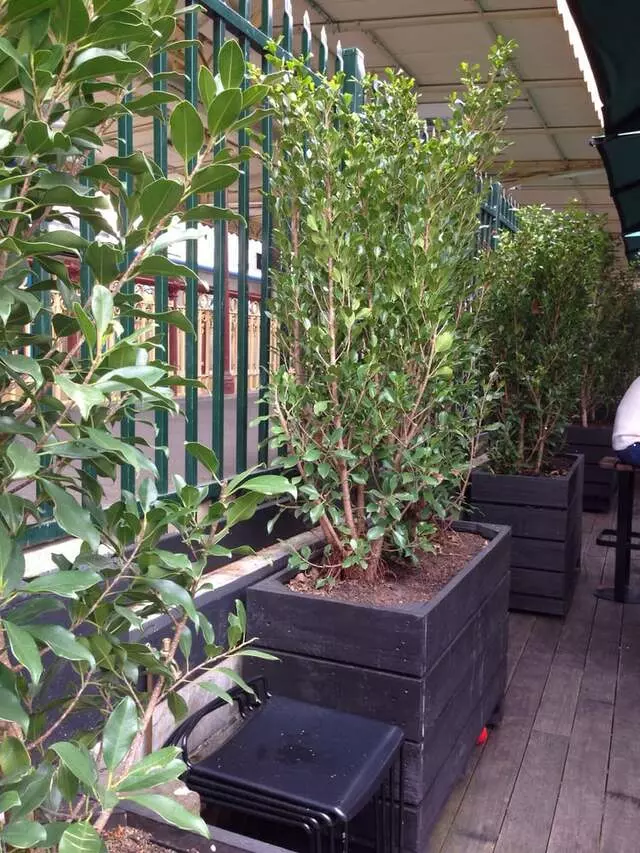 Arbory Bar & Eatery