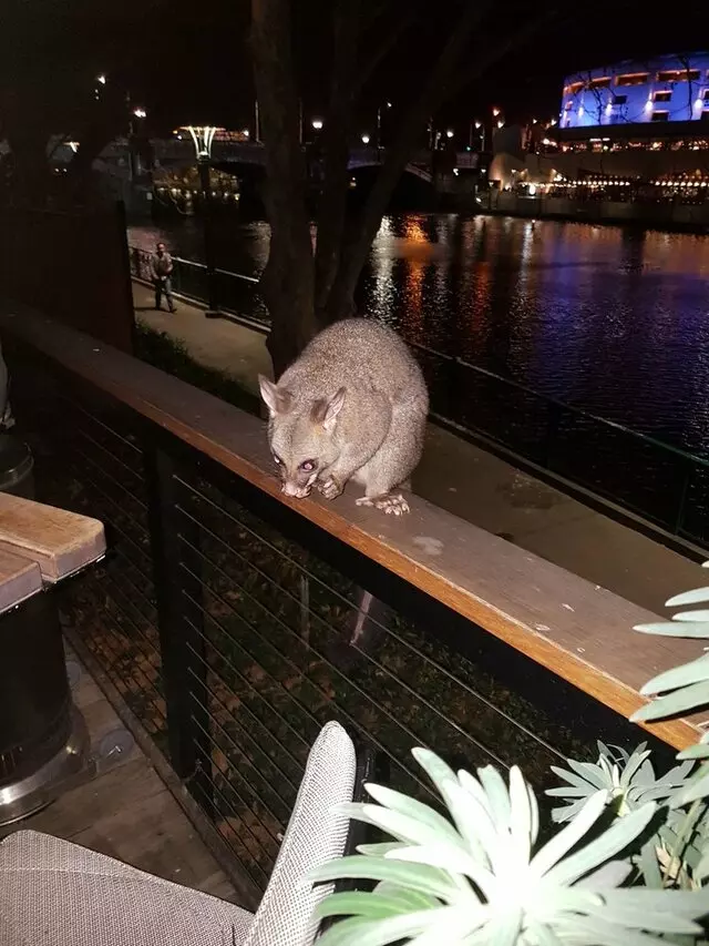 Arbory Bar & Eatery