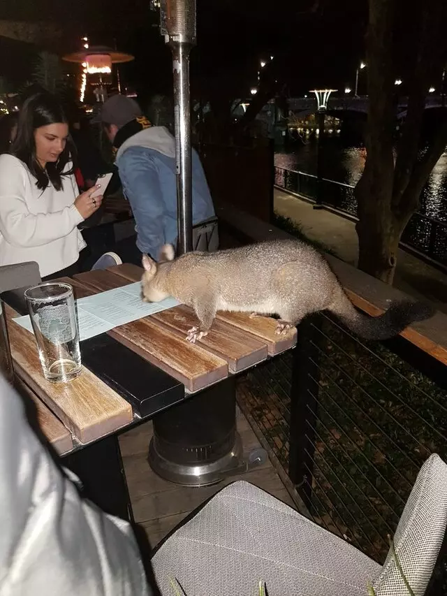 Arbory Bar & Eatery